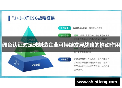绿色认证对足球制造企业可持续发展战略的推动作用